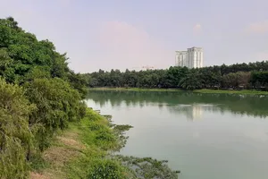 Khu vực xảy ra vụ việc. Ảnh: X.A