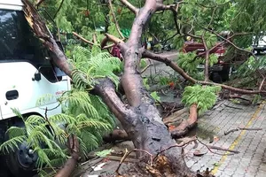 Hiện trường vụ việc