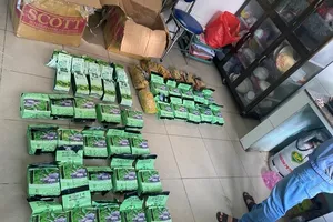 Tang vật ma tuý thu giữ