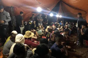 Khởi tố 33 đối tượng tham gia sòng bạc trong vườn điều ở tỉnh Đồng Nai