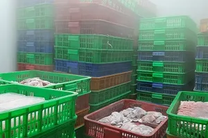 Gần 6 tấn thịt gia súc, gia cầm, thuỷ sản... không rõ nguồn gốc, xuất xứ.Ảnh: Ban Quản lý An toàn thực phẩm TPHCM cung cấp