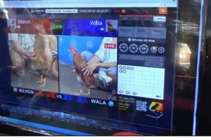 Bộ Công an chỉ đạo tăng cường phòng ngừa, đấu tranh với tội phạm cờ bạc, cá độ bóng đá. Ảnh: ĐAN NGUYÊN 