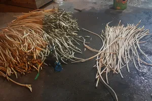 Hiện trường vụ việc 