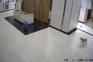 Hình ảnh vụ việc