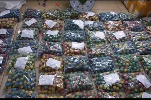 Phá đường dây mua bán pháo nổ liên tỉnh, thu 6 tấn