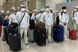 Người Việt Nam sang nước ngoài làm việc