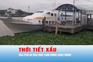 Podcast bản tin trưa 25-8: An Giang - Tàu phà đi các đảo tạm dừng hoạt động do thời tiết xấu