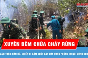 Gia Lai: Cháy rừng phòng hộ, giải cứu kịp thời 2 người dân