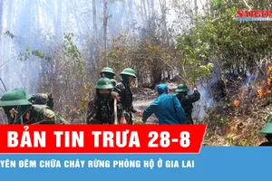 Bản tin trưa 28-8: Hàng trăm cán bộ, chiến sĩ bám chốt, chữa cháy rừng phòng hộ núi Vũng Chua 