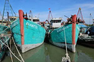 Các tàu cá không đủ điều kiện khai thác bắt buộc phải nằm bờ.