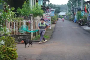 Xã Châu Đức bắt chó thả rông, ngăn nguy cơ tai nạn