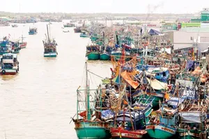 Cấm phương tiện thủy rời bến trên các tuyến ảnh hưởng bão số 12