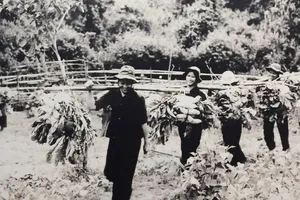 Nữ chiến sĩ có mặt trên mọi nẻo đường Trường Sơn