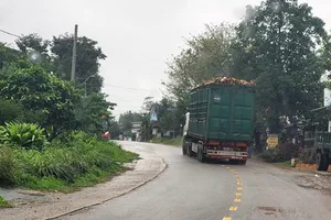 Xe quá tải tăng gấp 6,6 lần trên địa bàn tỉnh Quảng Trị