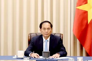 Phó Thủ tướng, Bộ trưởng Bộ Ngoại giao Bùi Thanh Sơn