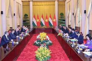 Chủ tịch nước Lương Cường và Tổng thống Hungary Sulyok Tamás tiến hành hội đàm. Ảnh: QUANG PHÚC