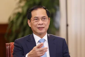 Phó Thủ tướng, Bộ trưởng Bộ Ngoại giao Bùi Thanh Sơn