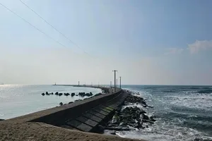 Khu vực đê chắn sóng Mikuni, thành phố Sakai, tỉnh Fukui, Nhật Bản. Ảnh: Cục Lưu trữ Phim Nhật Bản