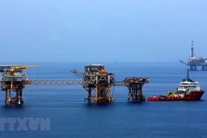 Các giàn khoan của Liên doanh Vietsovpetro tại mỏ Bạch Hổ