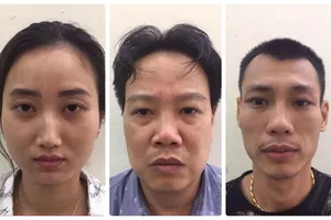 Phá ổ nhóm đẻ thuê giá 550 triệu/trường hợp