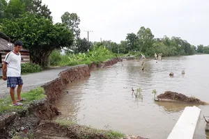 Hiện trạng công trình khắc phục sạt lở tuyến đê sông Gành Hào bị sạt lở