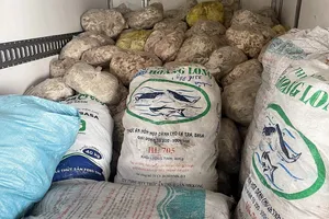 Phát hiện 1,1 tấn mỡ heo bốc mùi đang trên đường đi tiêu thụ