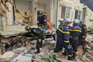 2 cảnh khuyển hỗ trợ đắc lực tìm kiếm nạn nhân ở Myanmar