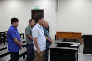 Nhóm cựu lãnh đạo xã lãnh án vì ký hồ sơ khống bán 44ha đất rừng phòng hộ