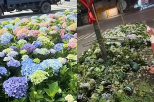 Công an Hà Nội khuyến cáo người dân khi đi xem diễu binh, diễu hành