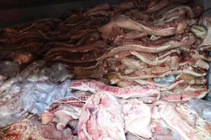 Phú Thọ: Khởi tố đối tượng cố tình giết mổ, trữ đông gần 38 tấn thịt heo nhiễm bệnh