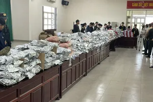Triệt phá đường dây cần sa xuyên quốc gia điều hành từ nước ngoài, thu giữ hơn 1 tấn tang vật