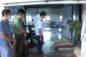Hưng Yên: Khởi tố vợ chồng cố ý giết mổ heo nhiễm bệnh