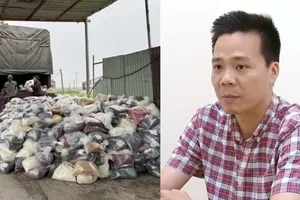 Truy tố Nguyễn Năng Mạnh và đồng phạm trong vụ án thực phẩm giả