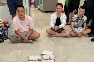 Bộ Công an triệt phá đường dây ma túy, bắt giữ 740 đối tượng
