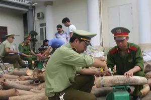 Bắt giữ hơn 2,7 tấn ngà voi  trên xe tải 