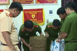 Phá đường dây ma túy, thu 120kg cần sa, 3kg ma túy đá,  2.000 viên ma túy tổng hợp