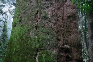 Xây dựng Vườn Quốc gia Pù Mát thành Vườn Di sản ASEAN