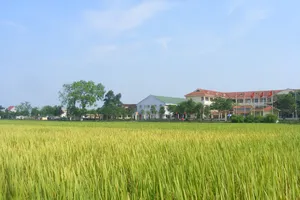 Thanh Hóa hỗ trợ tới 700 triệu đồng cho nghiên cứu, chọn tạo được 1 giống lúa lai F1