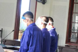 Hai học sinh lãnh án tù vì vận chuyển lượng ma túy cực lớn