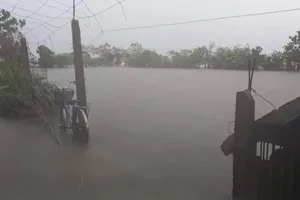 Nghệ An: Mưa lớn gây ngập lụt, sạt lở nhiều nơi