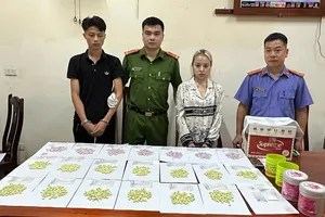 Phá đường dây vận chuyển trái phép chất ma túy từ châu Âu về Việt Nam