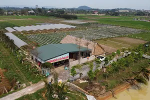 Hiệu quả từ mô hình “sản xuất xanh - sống an lành”