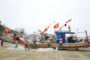 Ngư dân trúng mùa sứa muộn 