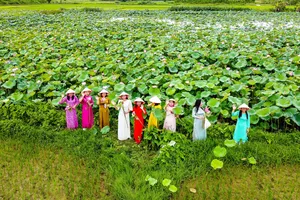 “Check-in” thành đá cổ ngắm sen