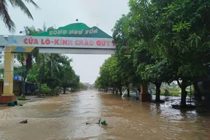 Bộ Công thương yêu cầu sẵn sàng hàng hóa cho vùng lũ bão