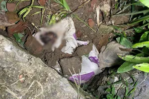 Điều tra nguyên nhân bé gái 8 tuổi chết bất thường, thi thể trong bao tải