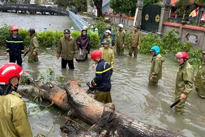 Thanh Hóa: Bí thư Chi bộ thôn bị cây đè tử vong khi đi trực phòng chống bão