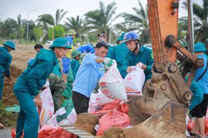 Khẩn trương khắc phục sự cố đê sông Vinh