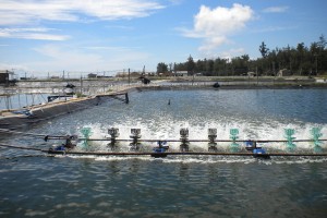 示意圖。（圖片來源：互聯網）