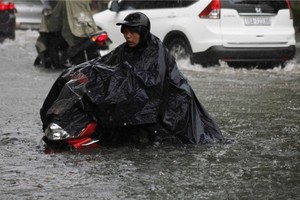 示意圖。（圖片來源：青年報/黎新）